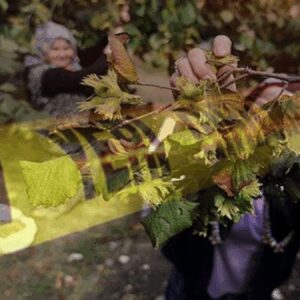 findik bahcesinde dehset 15 yasindaki onur vuruldu 2mueAKvi